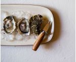 Abridor de ostras del kit gourmet para abrir y degustar ostras